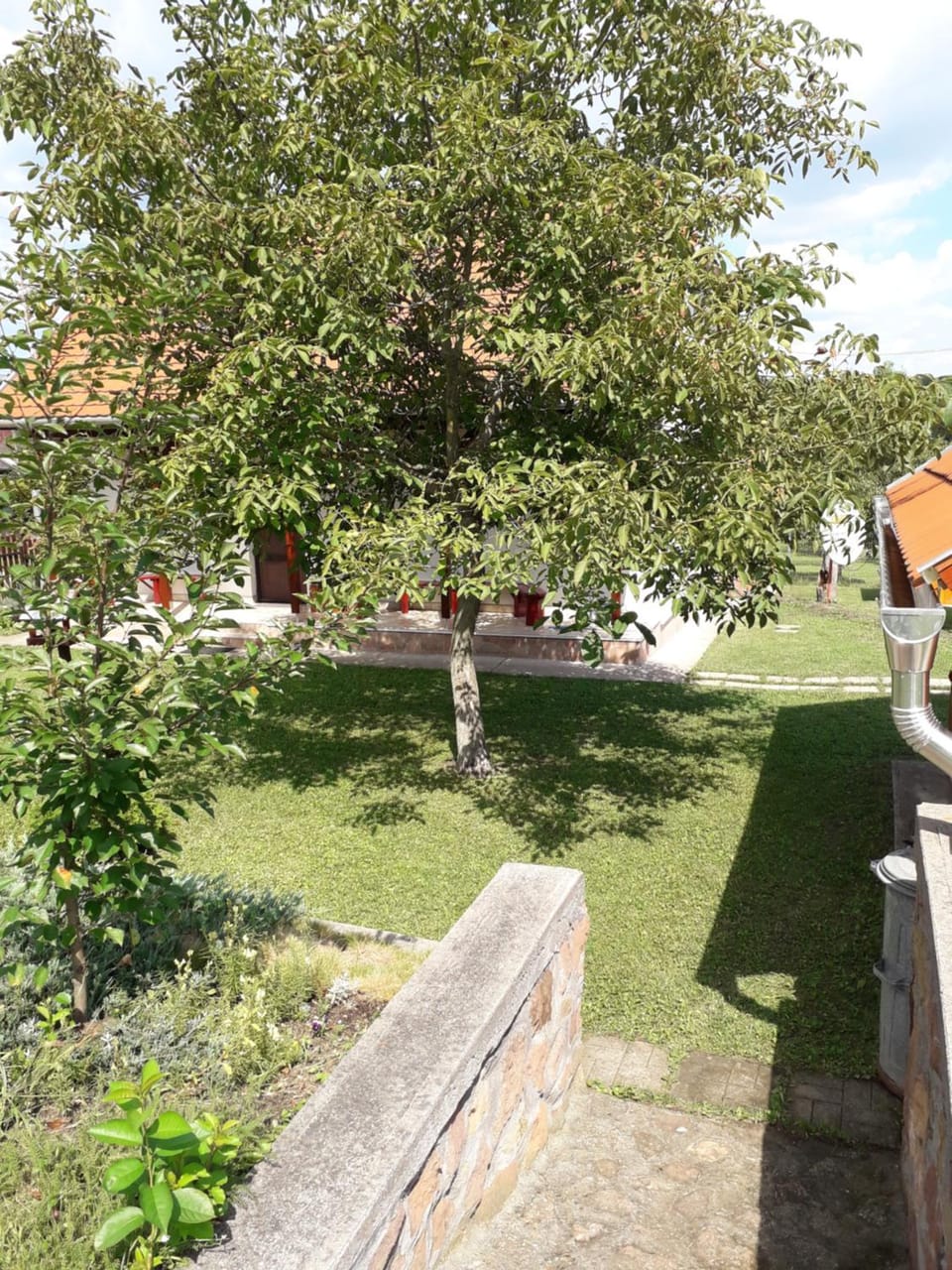 Inner courtyard view