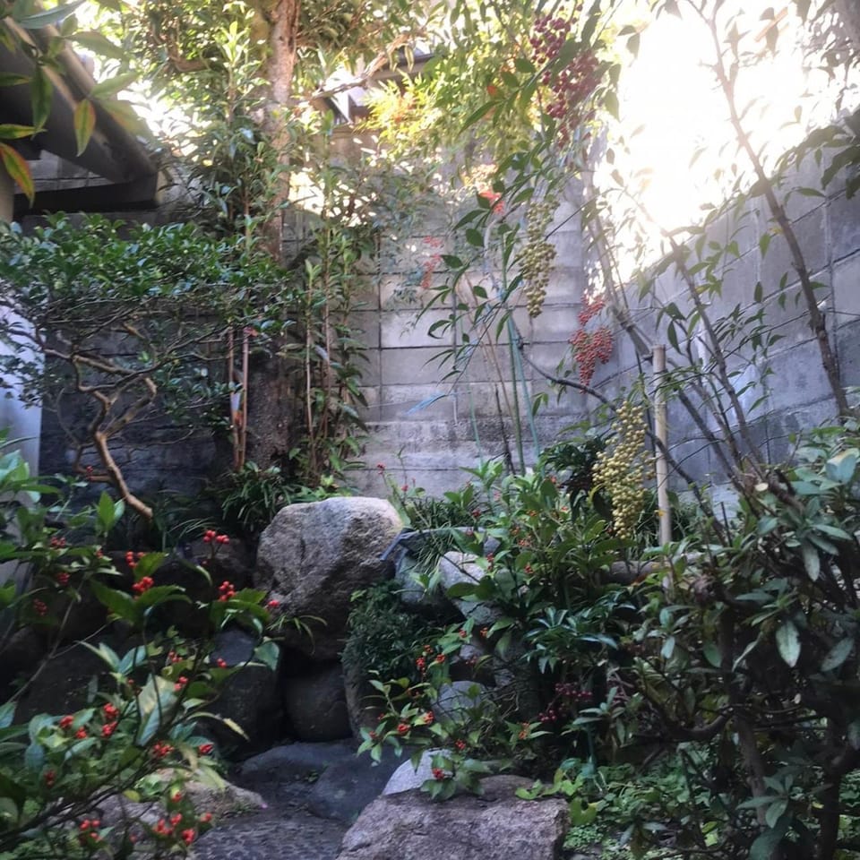 Inner courtyard view