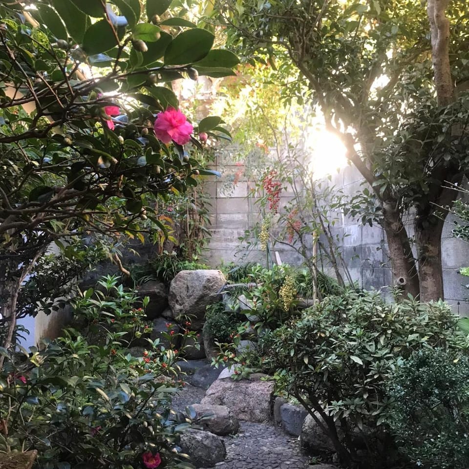 Garden view