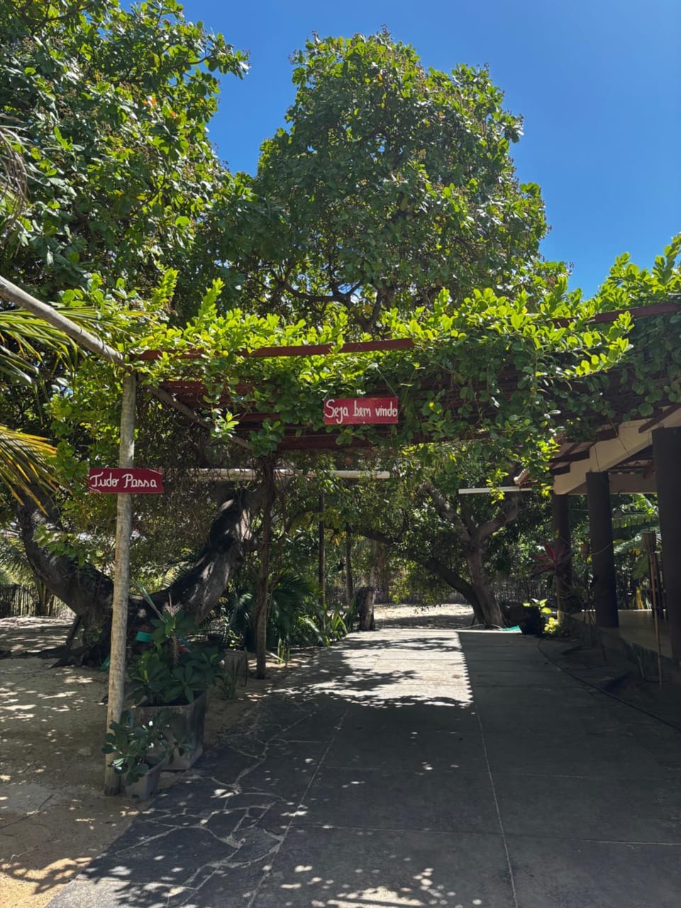 Constancy residence House in State of Ceará
