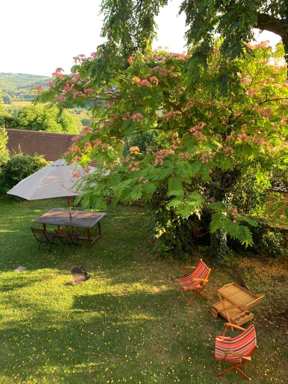 Day, Garden, Garden view