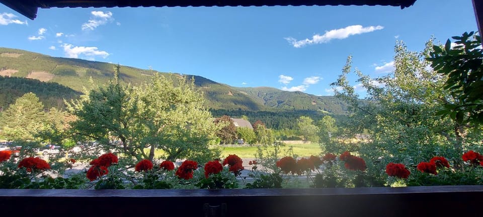 View (from property/room)