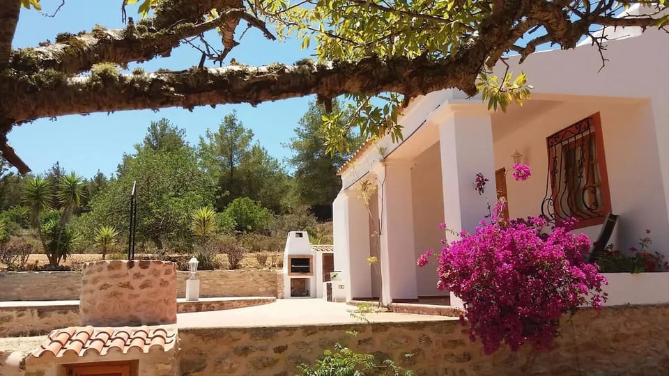 Property building, Patio, Garden, Garden view