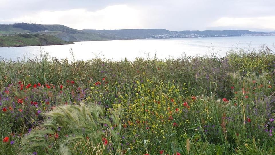 B&B I Viaggi Di Edo Bed and Breakfast in Crotone