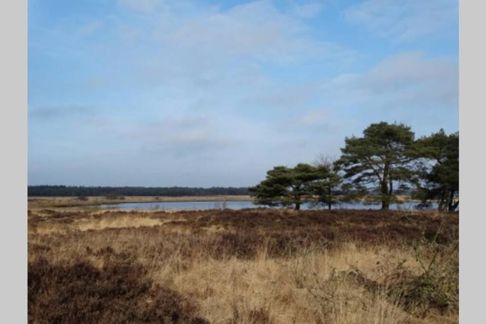 Drentse bungalow in natuur en rust House in Drenthe (province)