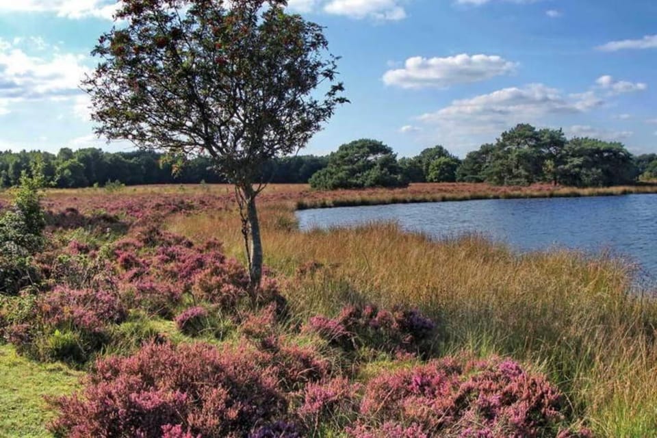 Drentse bungalow in natuur en rust House in Drenthe (province)