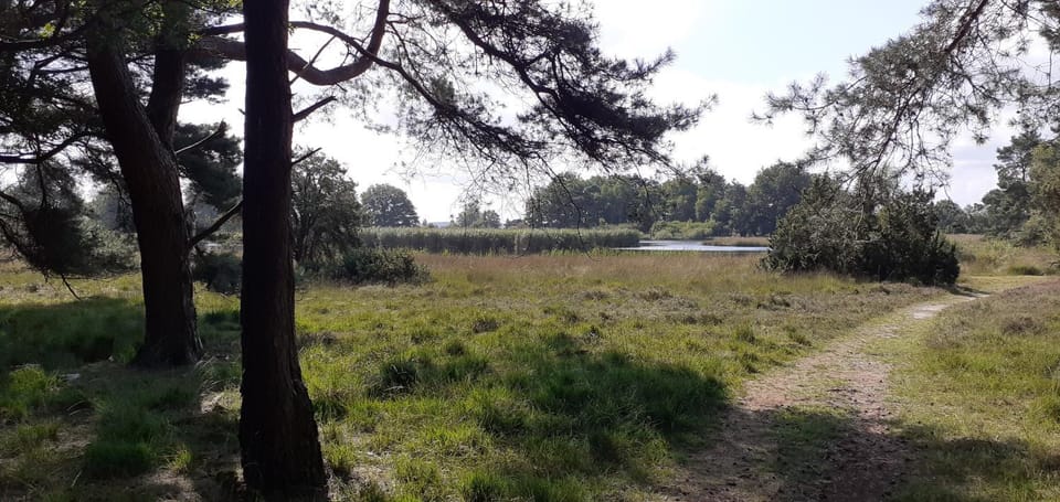Drentse bungalow in natuur en rust House in Drenthe (province)