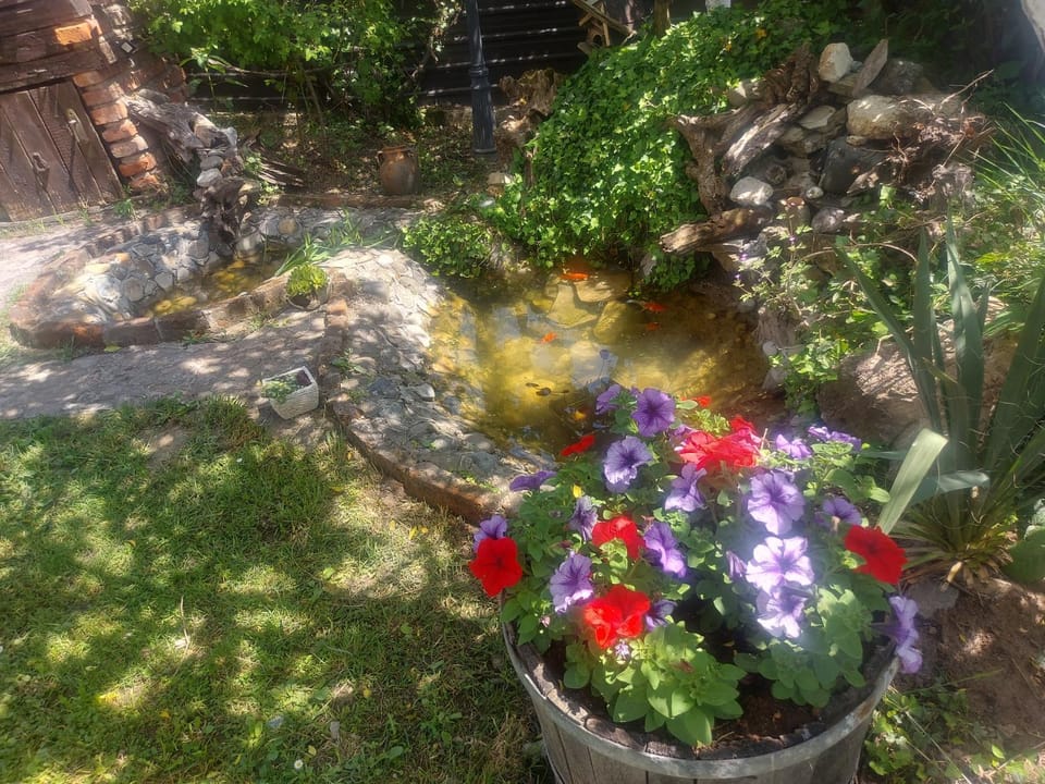 Apartman Oaza Mira - Zavidovici Apartment in Federation of Bosnia and Herzegovina