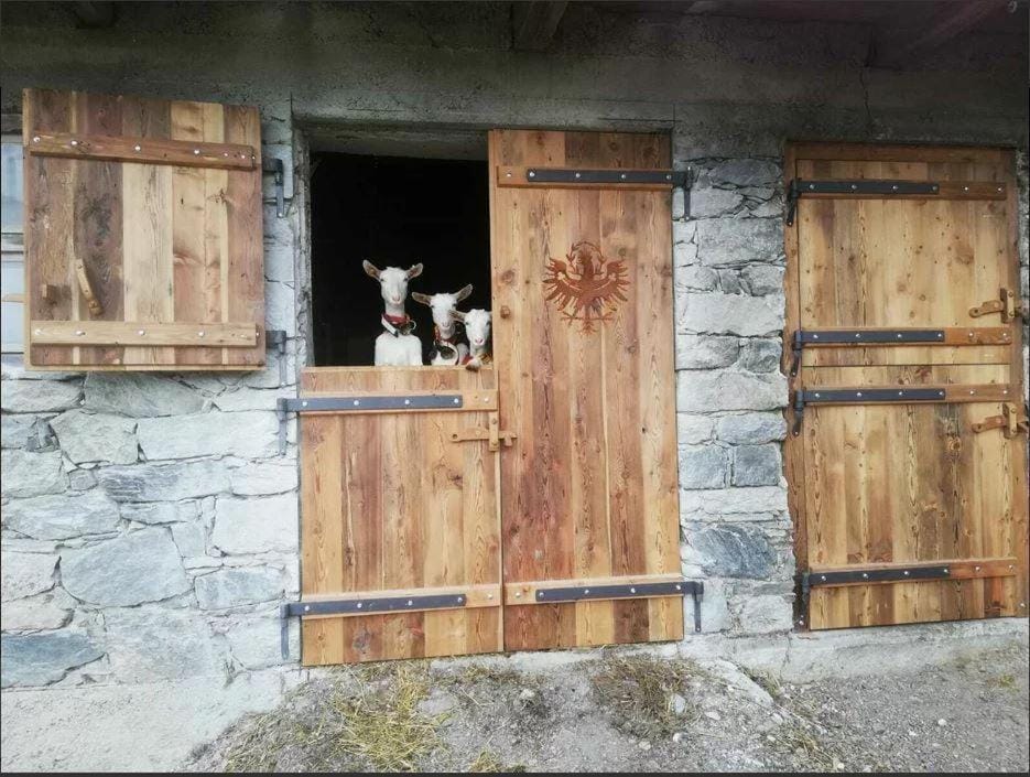 Stockachhof Farm Stay in Tyrol