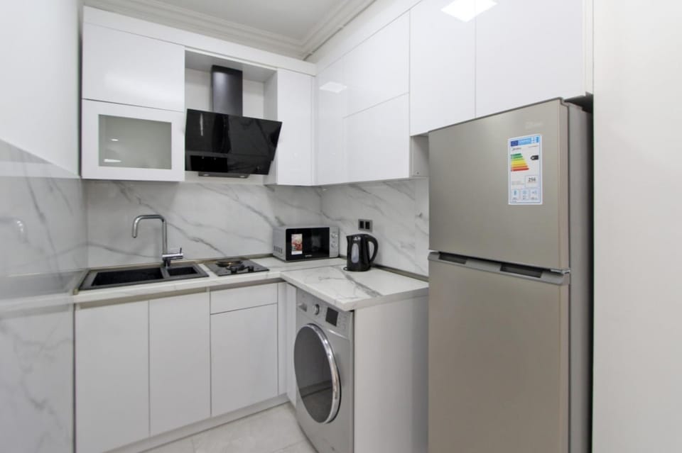 Kitchen or kitchenette, minibar, stove, washing machine, dryer