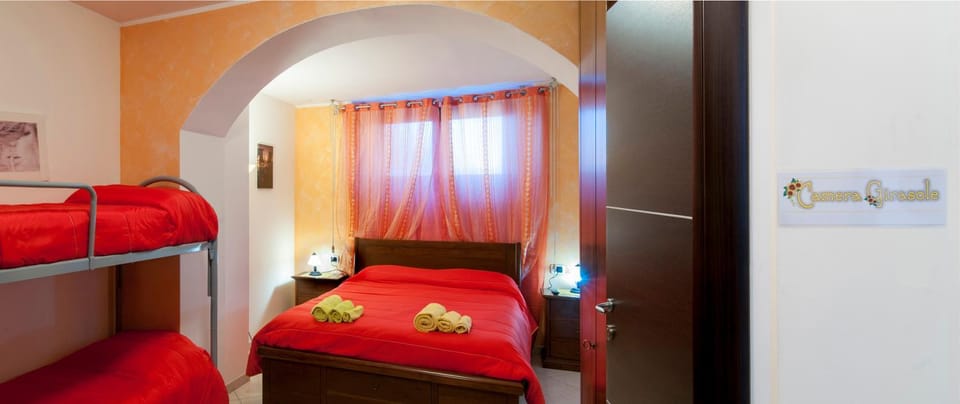 Bed, Photo of the whole room, Bedroom, bunk bed