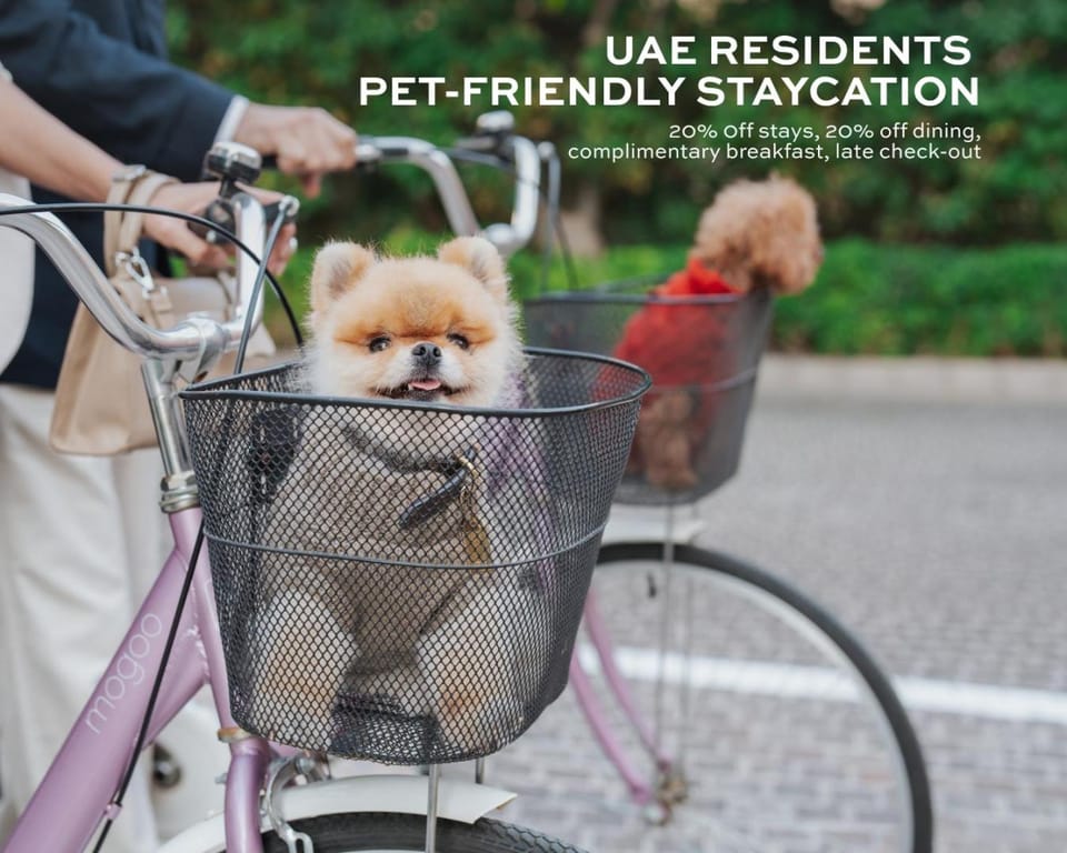pet friendly
