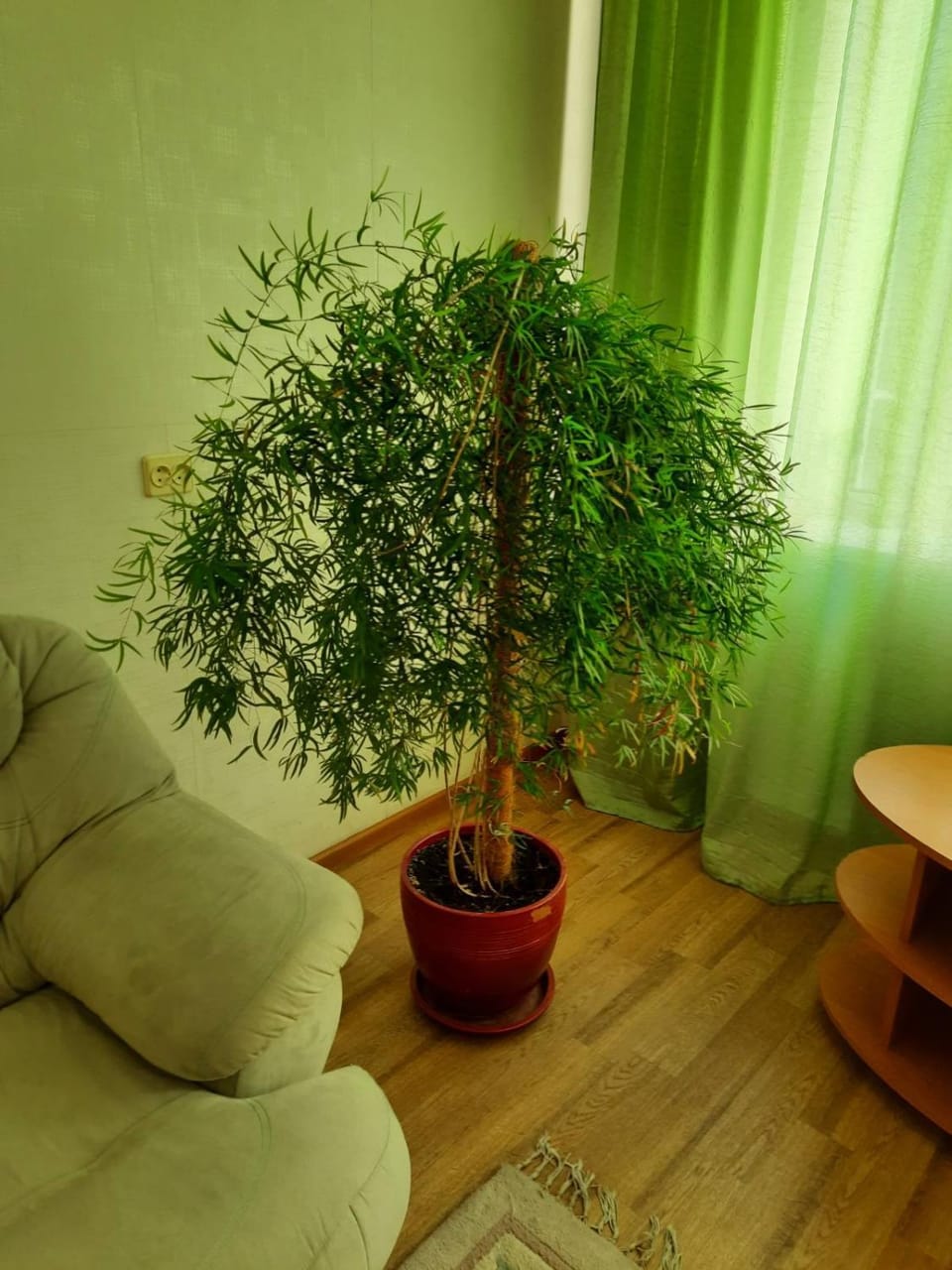 Квартира возле парка Б. Хмельницкого (центр) из первых рук Apartment in Ukraine