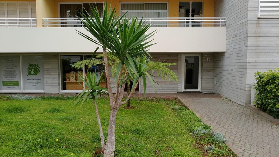 Property building, Facade/entrance, Spring, Day, Garden, Garden view
