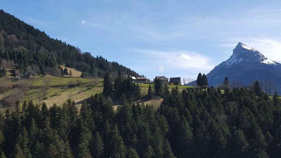 Mountain view