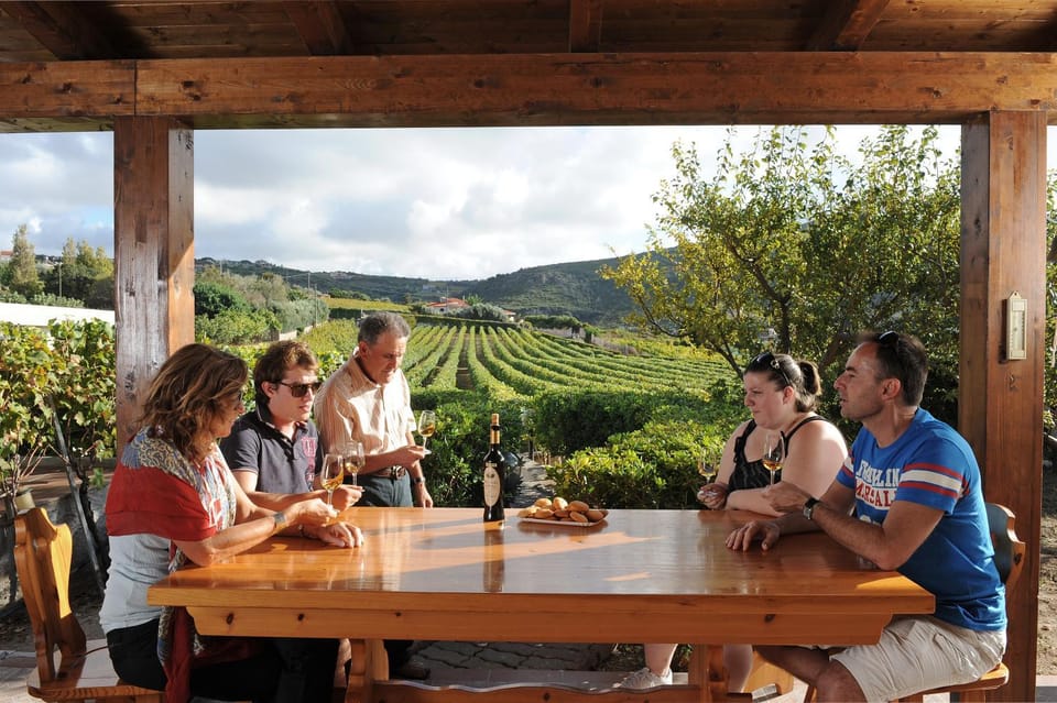 People, Natural landscape, Activities, Entertainment, Alcoholic drinks, group of guests