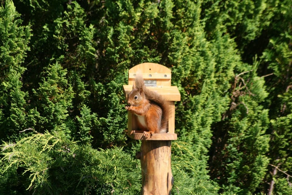 Arrandale House Bed and Breakfast in Pitlochry