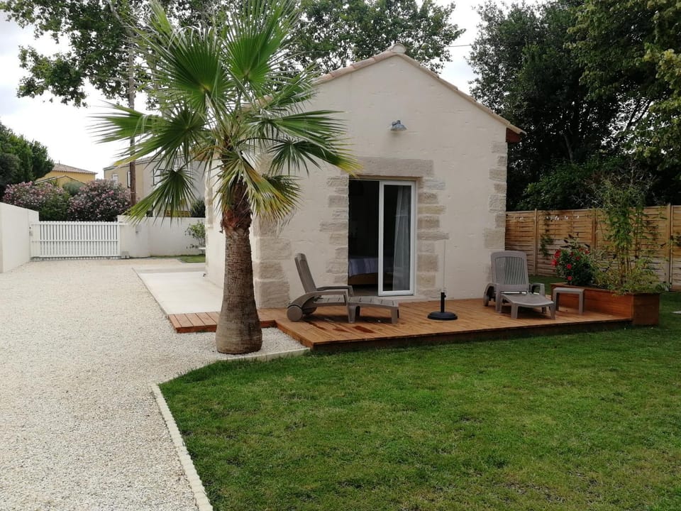 Patio, Garden