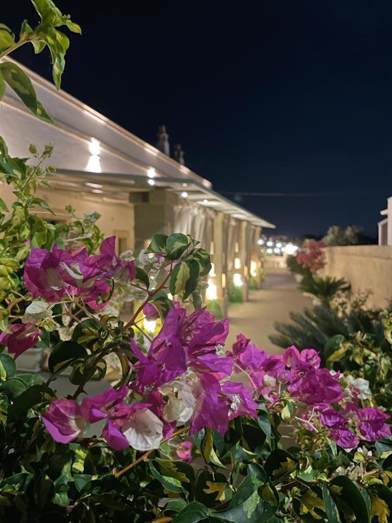 PaolOttaviA Apartment in Apulia