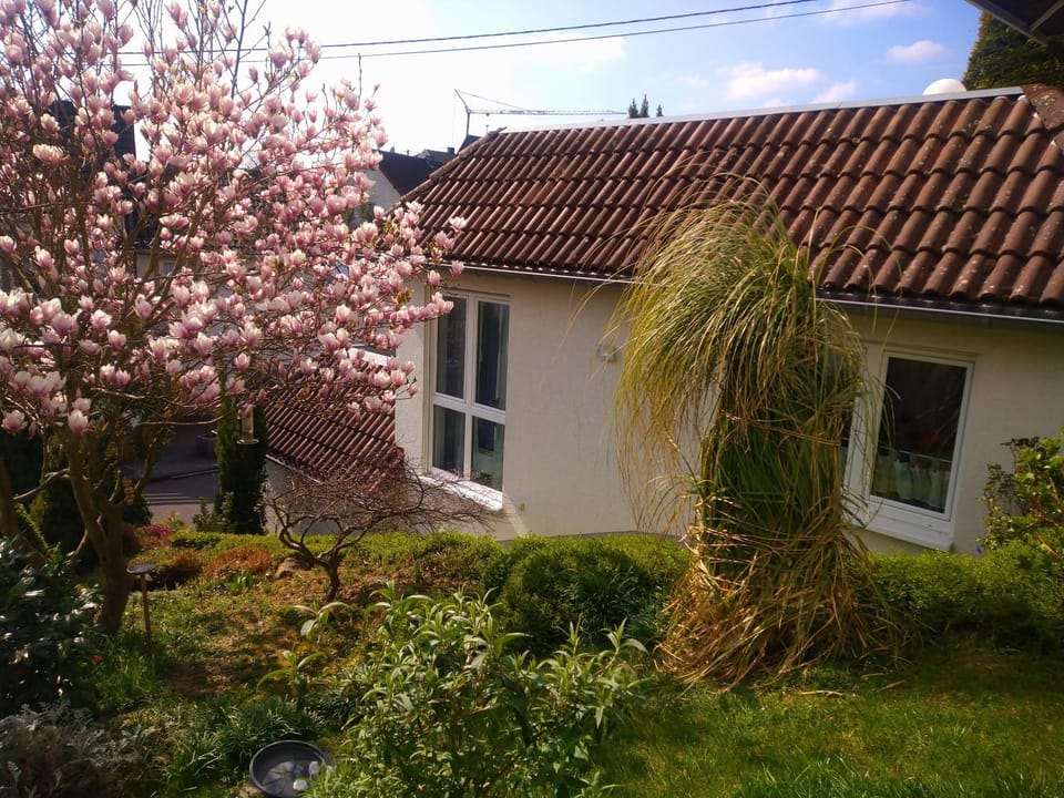 Property building, Garden