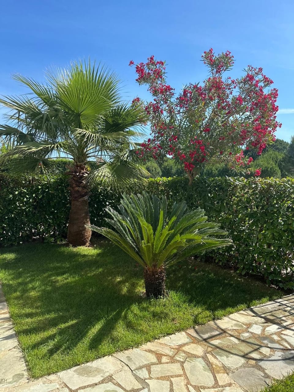 Garden, Garden view