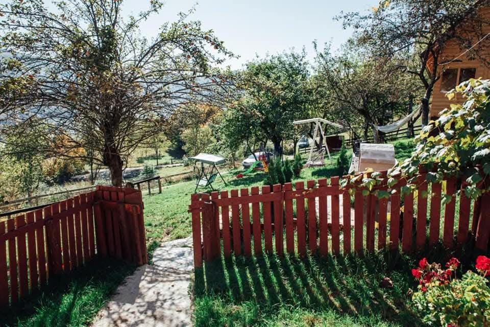 Relaxare in Sohodol, Alba Bed and Breakfast in Romania
