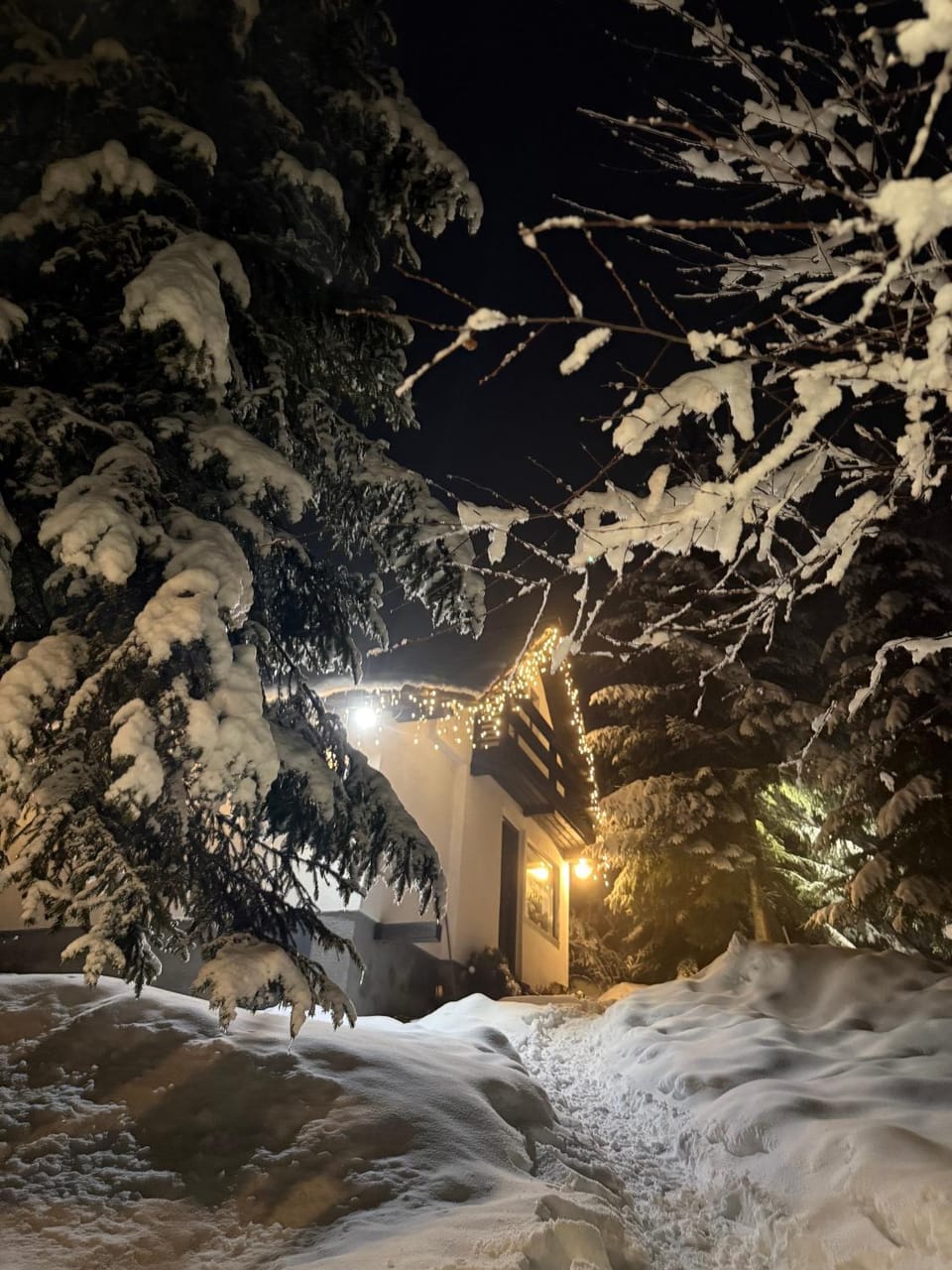 Cabana Ruku House in Cluj County