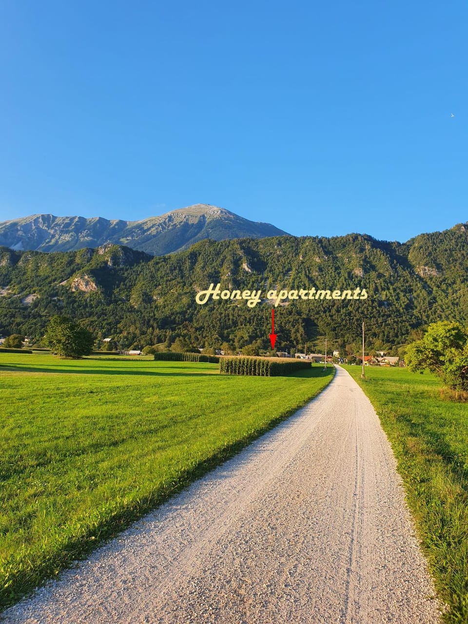 Property building, Off site, Hiking, Hiking, Sports, Sports