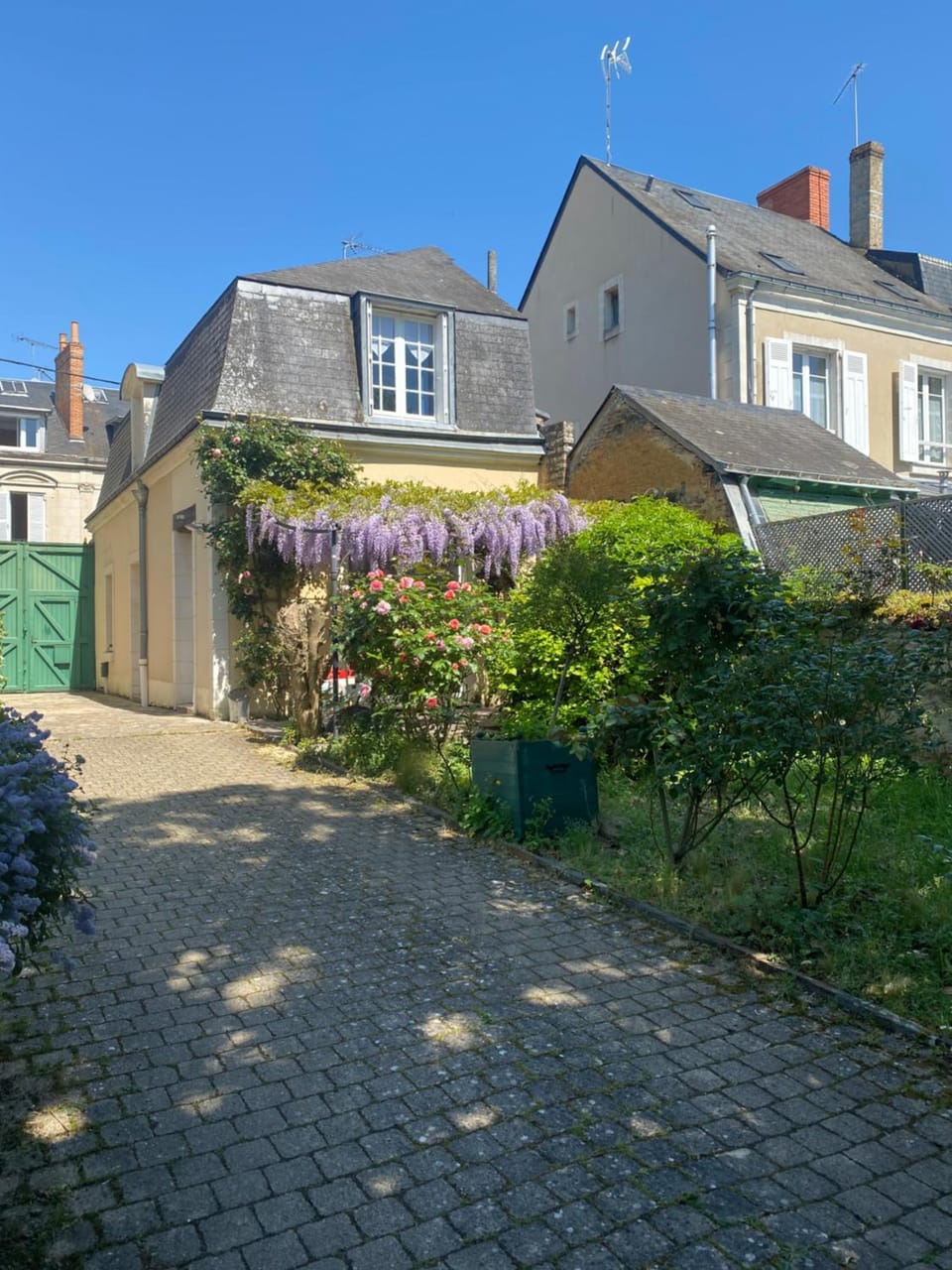 Property building, Garden, Garden, Garden view