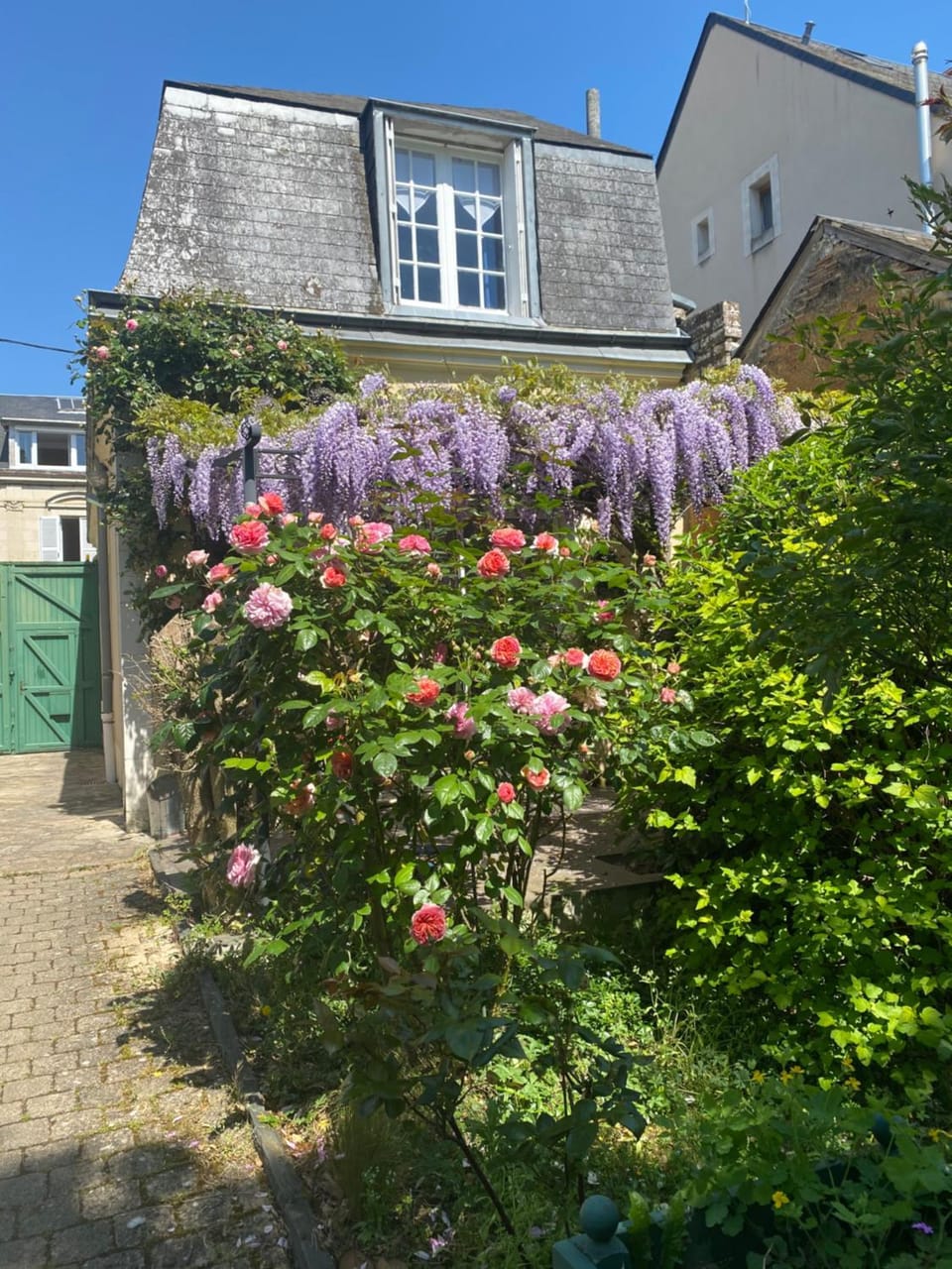 Property building, Spring, Garden, Garden view
