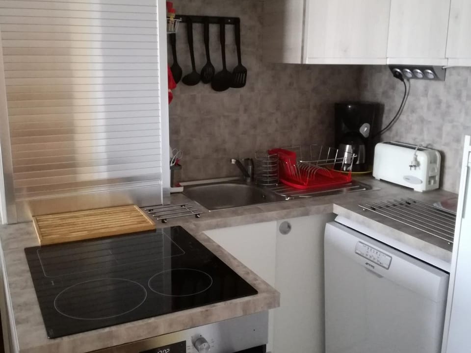 2 pièces, au pied des pistes, balcon privatif - FR-1-557-66 Apartment in Auvergne-Rhône-Alpes