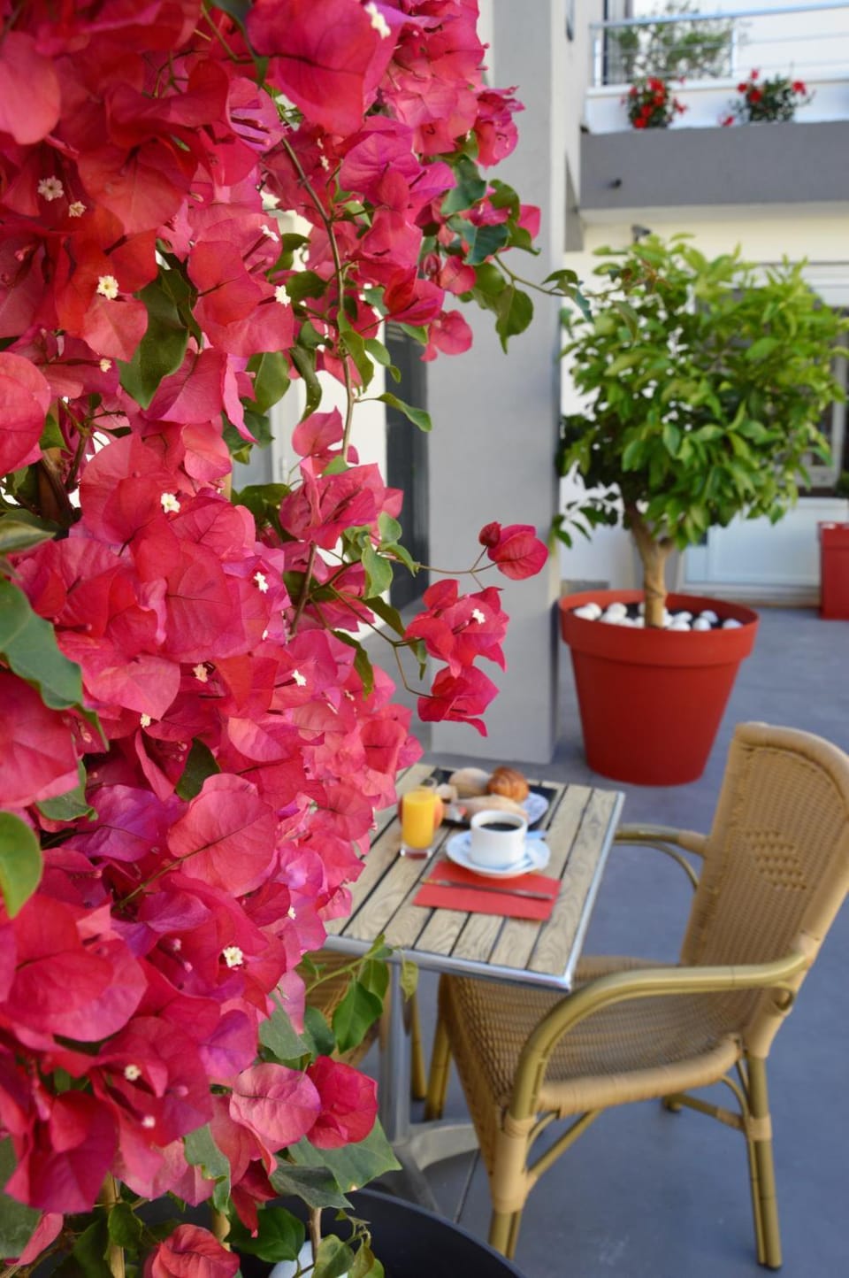 Patio, Buffet breakfast