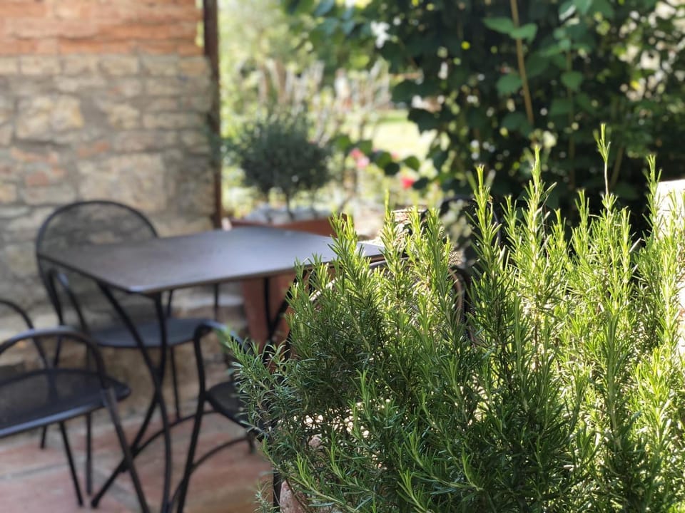 Patio, Garden, Dining area, Garden view