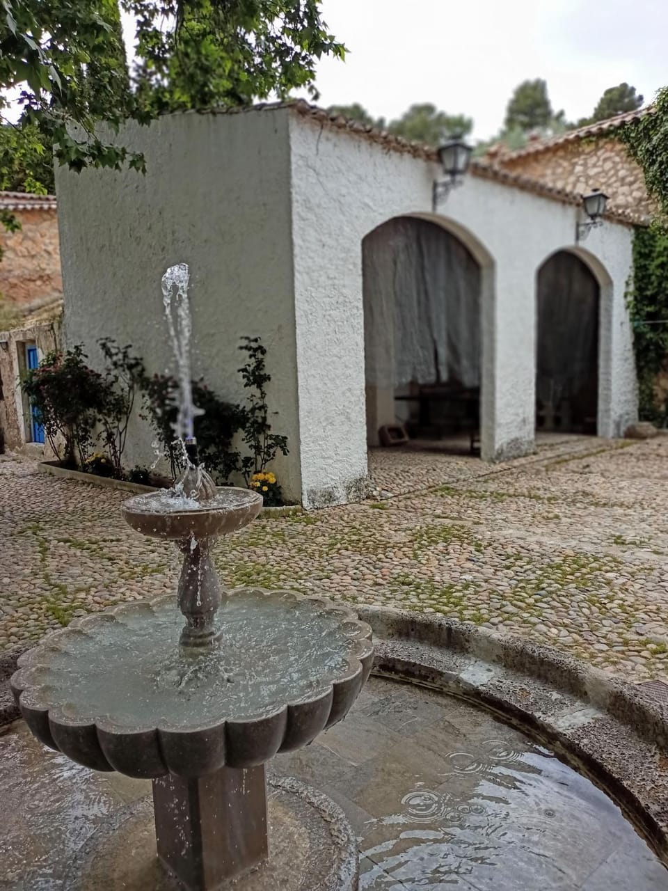 Inner courtyard view