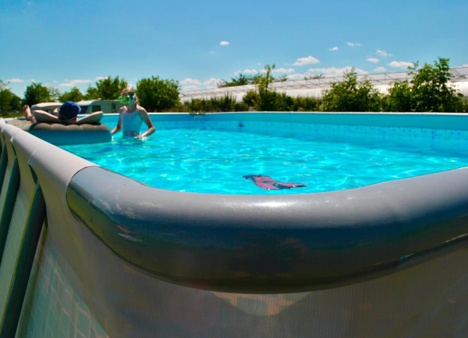 Pool view, Area and facilities, Swimming pool