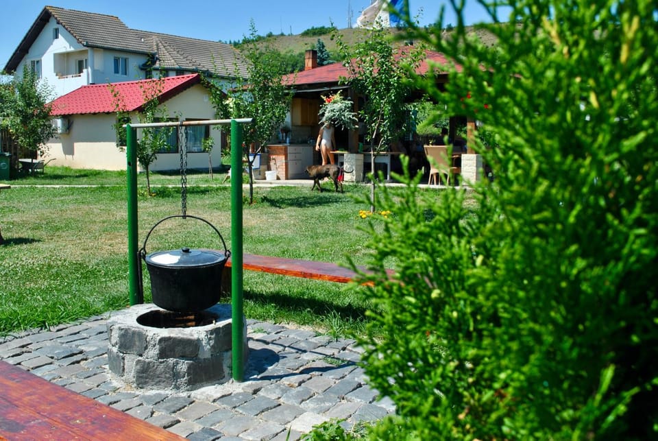 Property building, Garden, View (from property/room), Food, Garden view