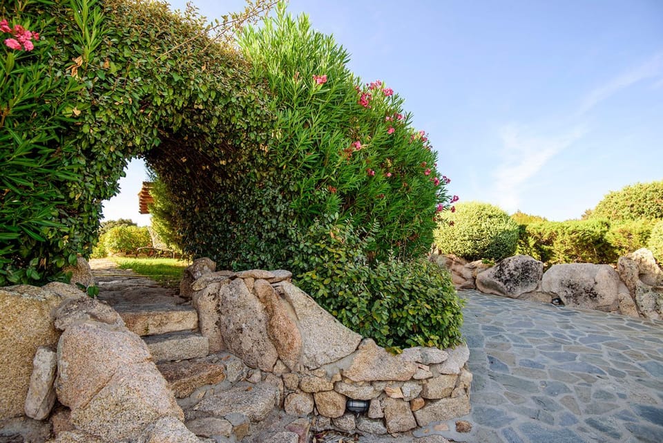 Natural landscape