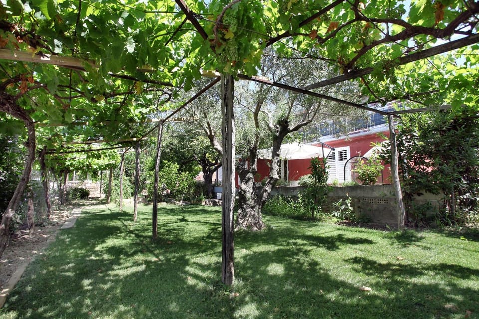 Property building, Garden