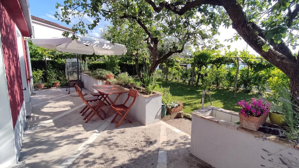 Patio, Garden, Garden view