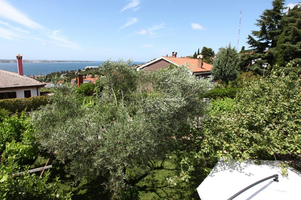 Neighbourhood, Garden view, Sea view