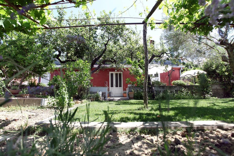 Property building, Facade/entrance, Garden