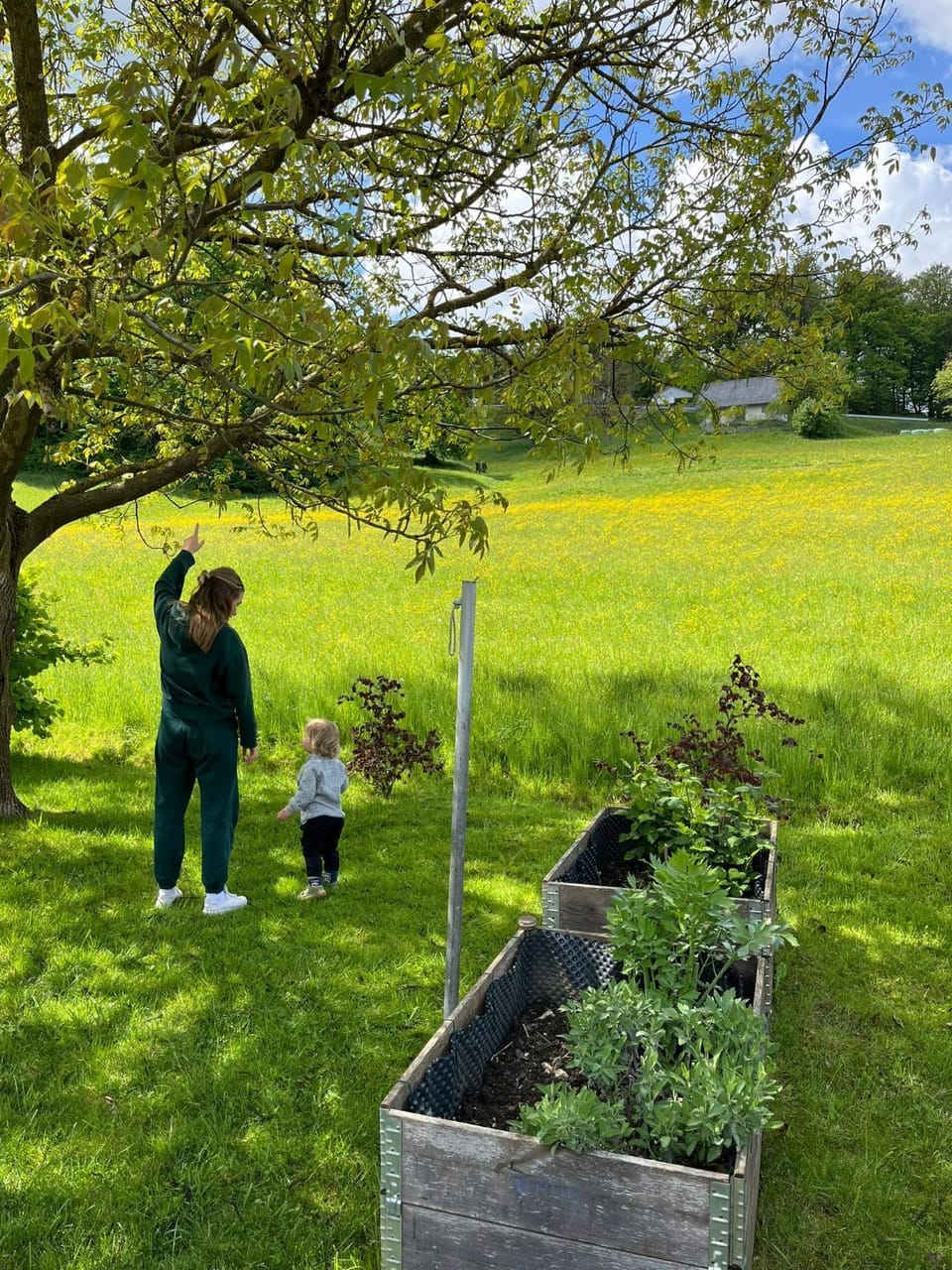 Day, People, Natural landscape, Garden, Garden view, group of guests