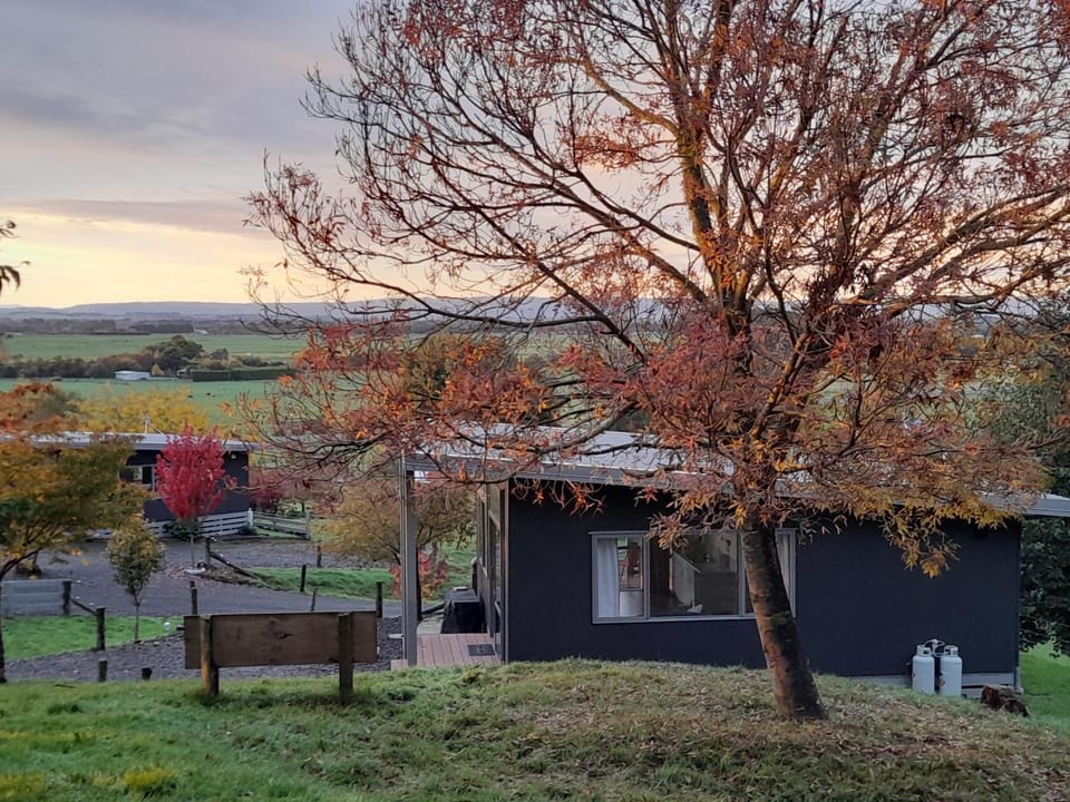 Little Forest Cabins No 3 Cabin in Manawatū-Whanganui, New Zealand