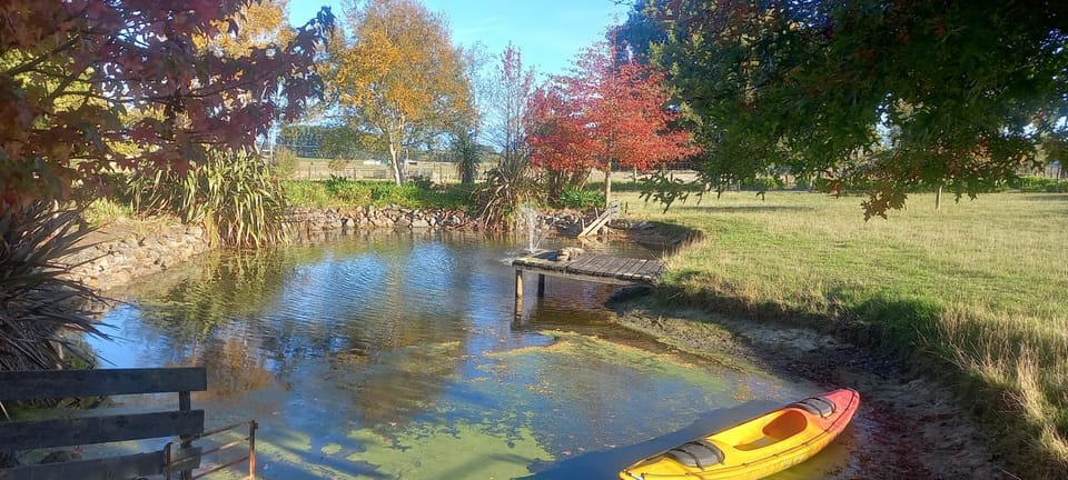 Natural landscape