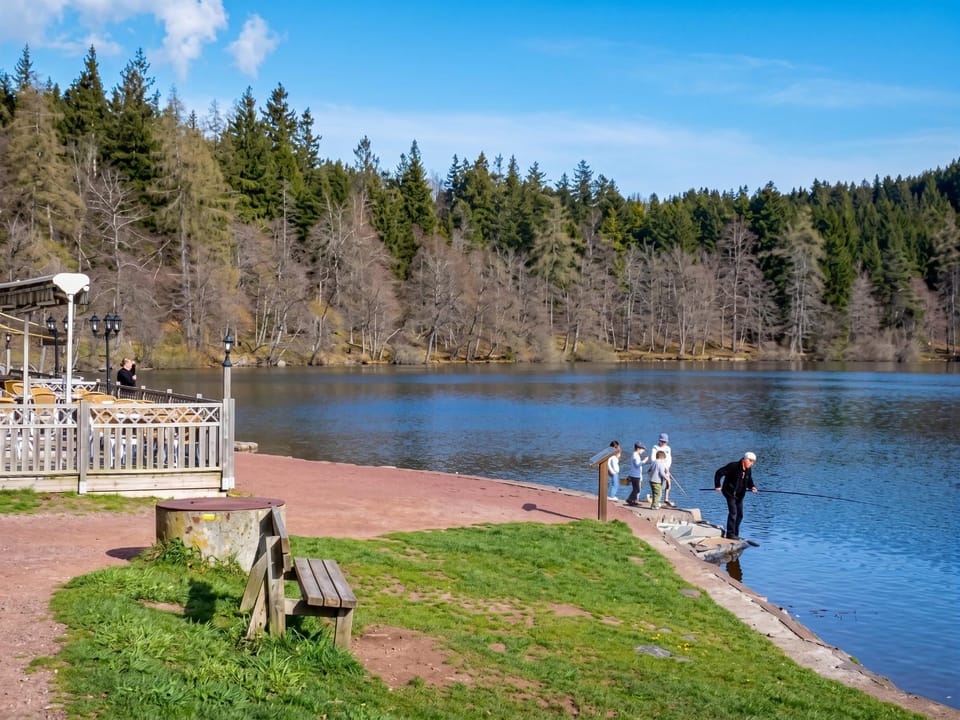 Lake view
