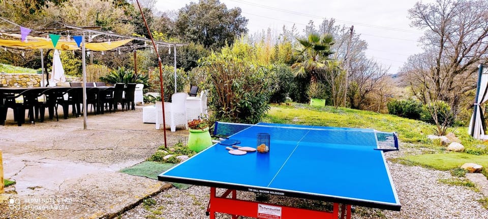 Table tennis