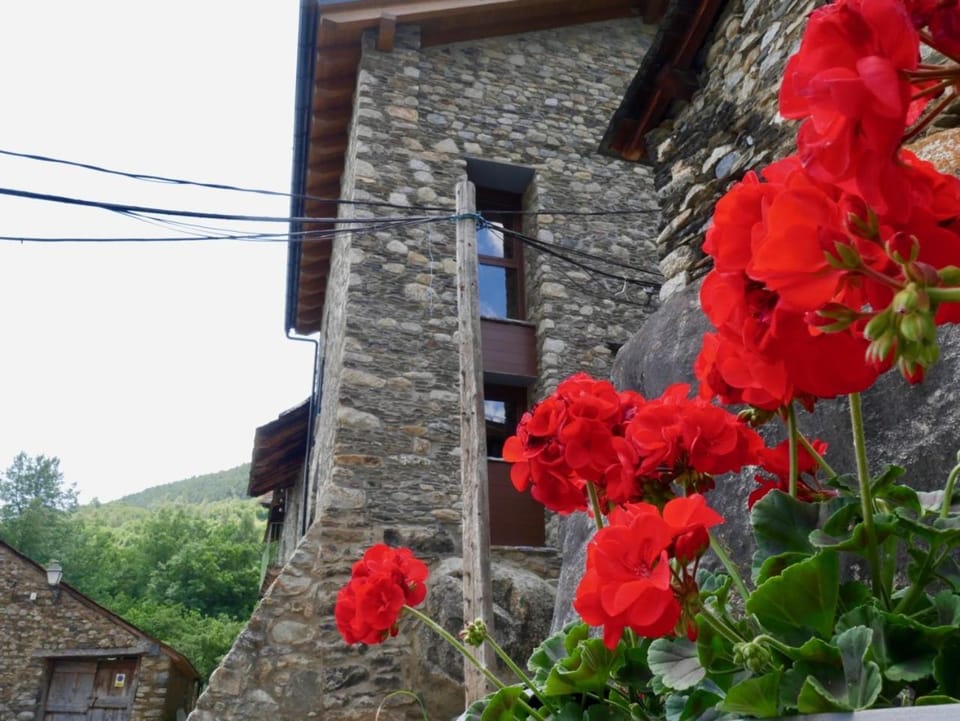 Property building, Spring, Day