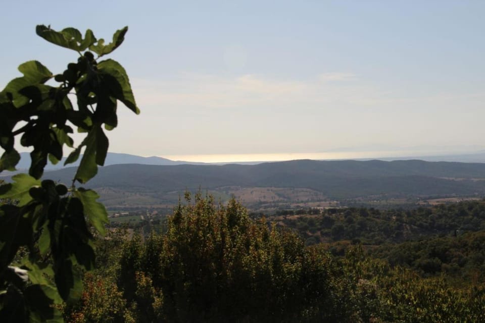 Sea view