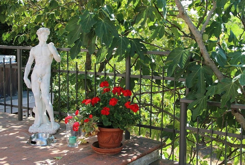 Balcony/Terrace, Decorative detail