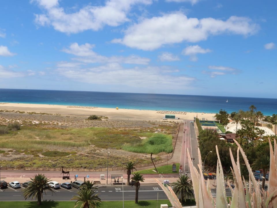 PLAYA MIRAR in Palm Garden Apartment in Morro Jable